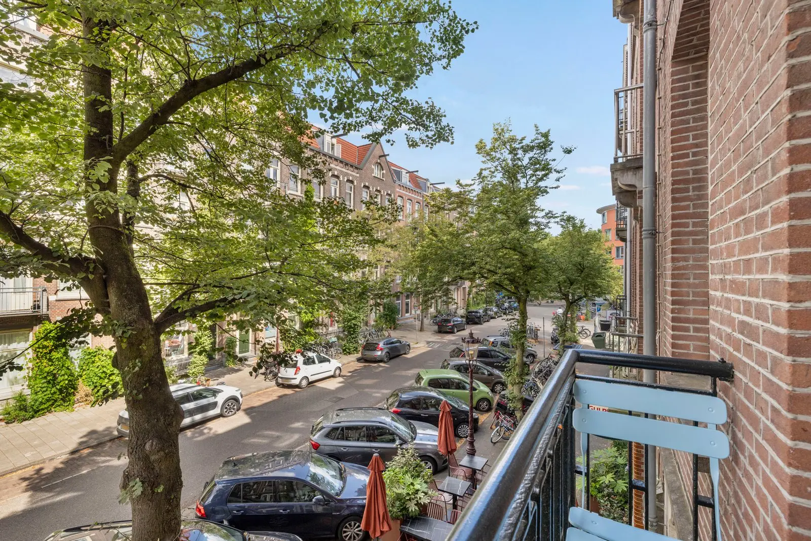 Uitzicht over de laan met bomen en geparkeerde auto's