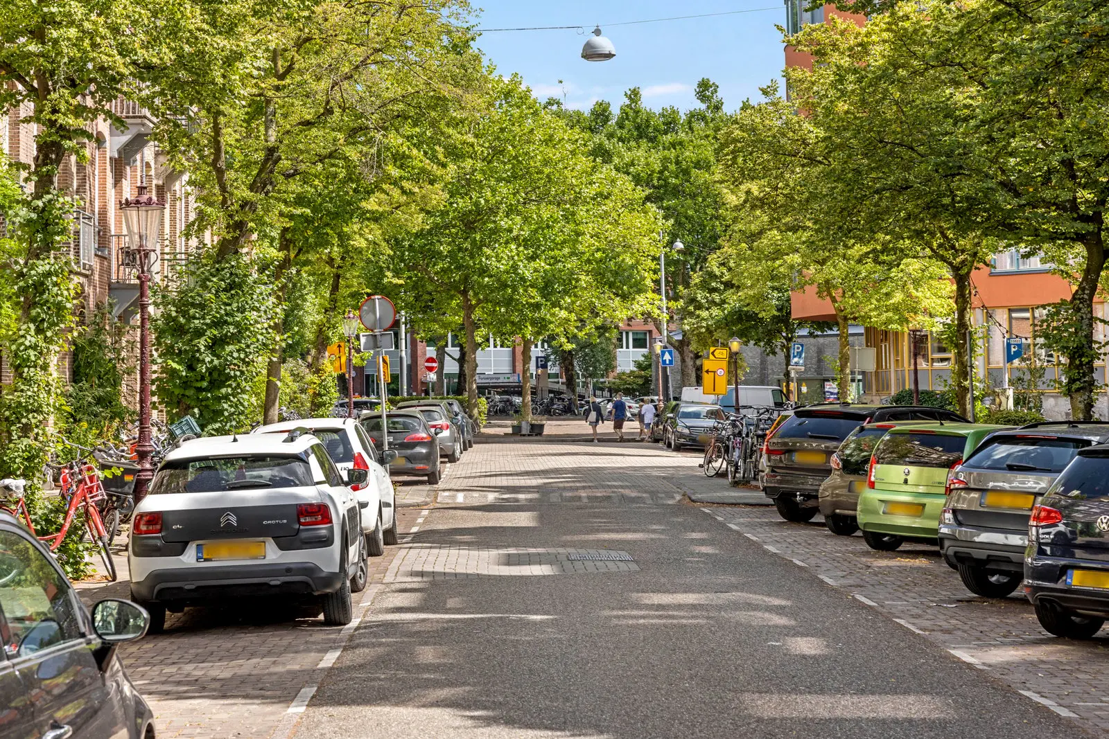 Laan met bomen en geparkeerde auto's