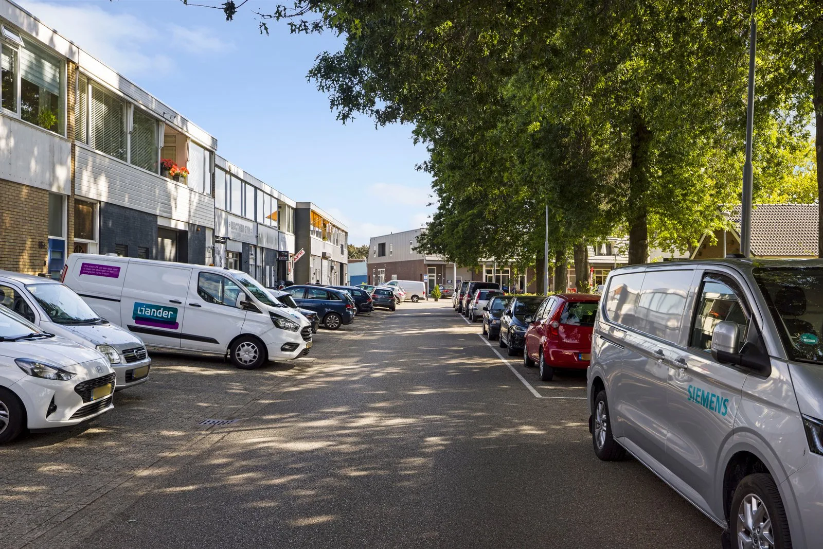 Straat met geparkeerde auto's en bestelbussen, onder hoge bomen langs de stoep