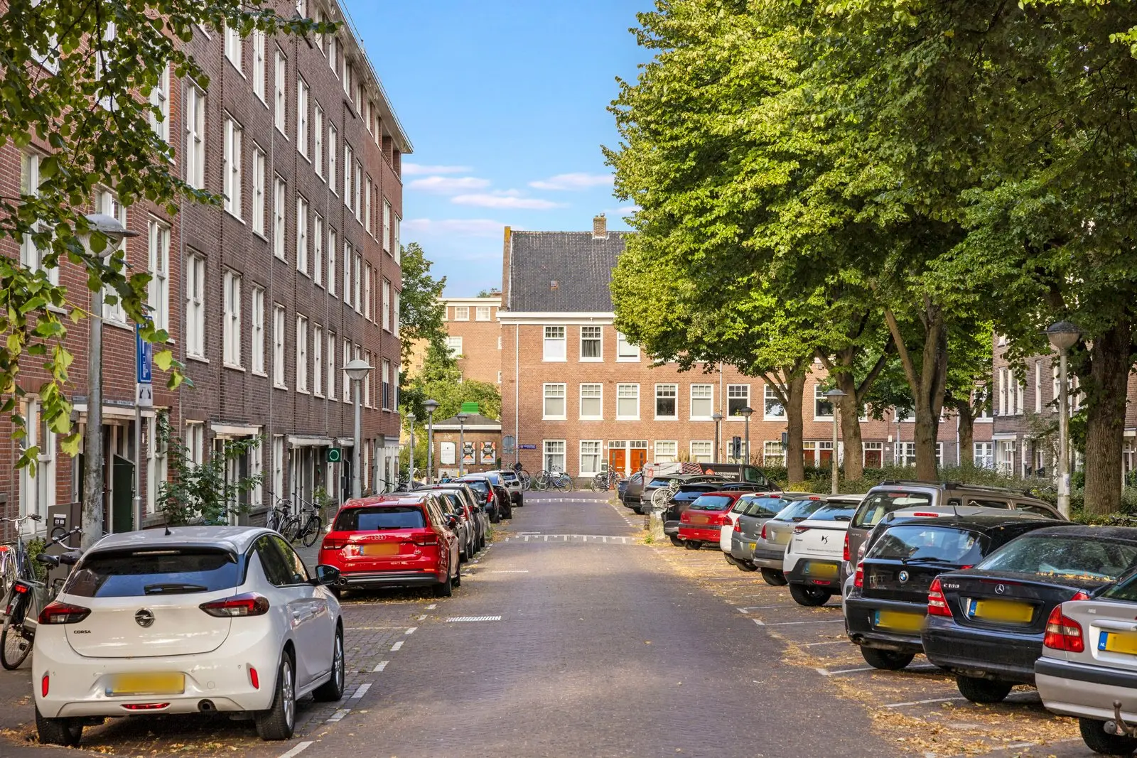 De straat met volwassen bomen en geparkeerde auto's