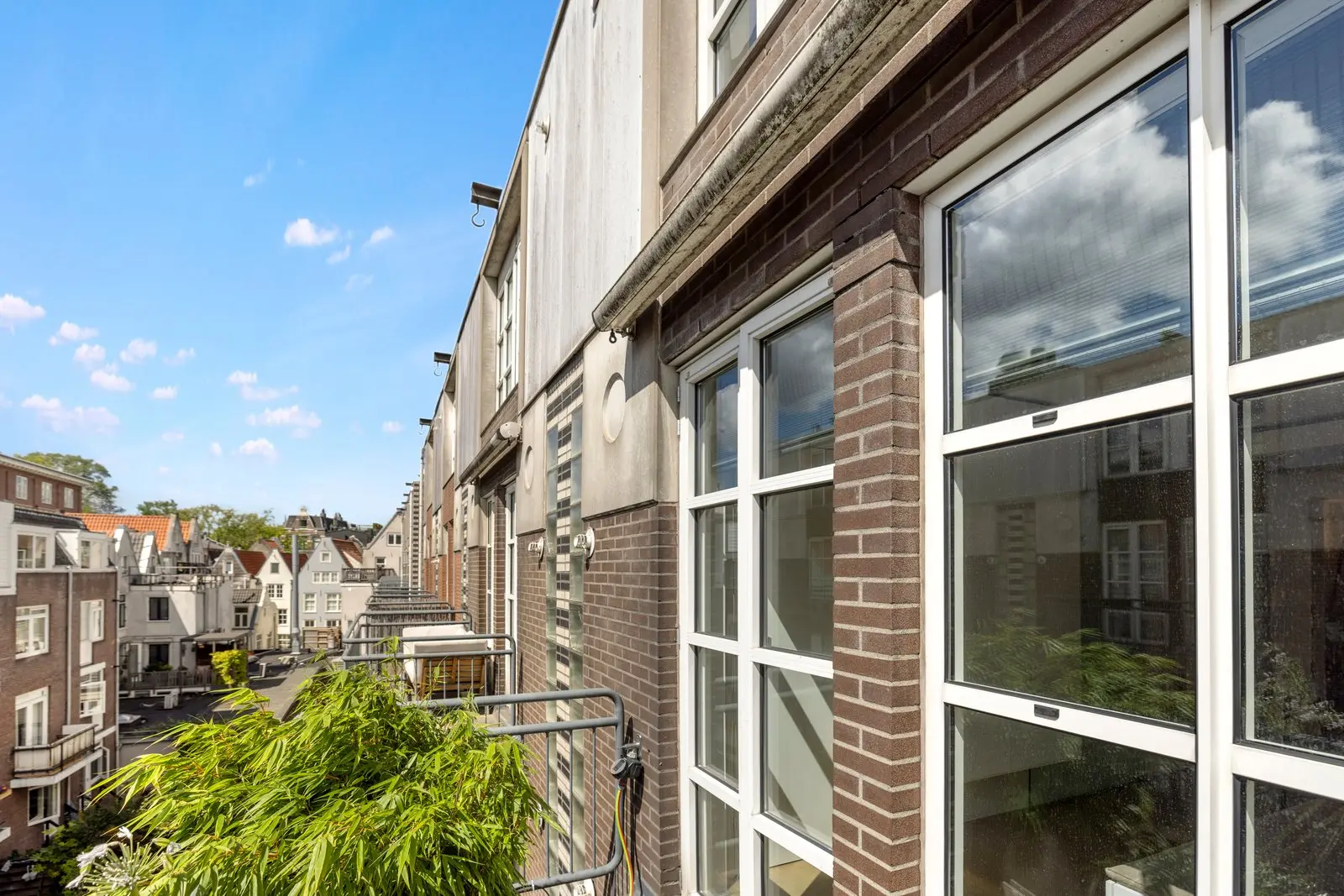 Balkon met een grote plant, met zicht langs de bakstenen gevel op de panden verderop