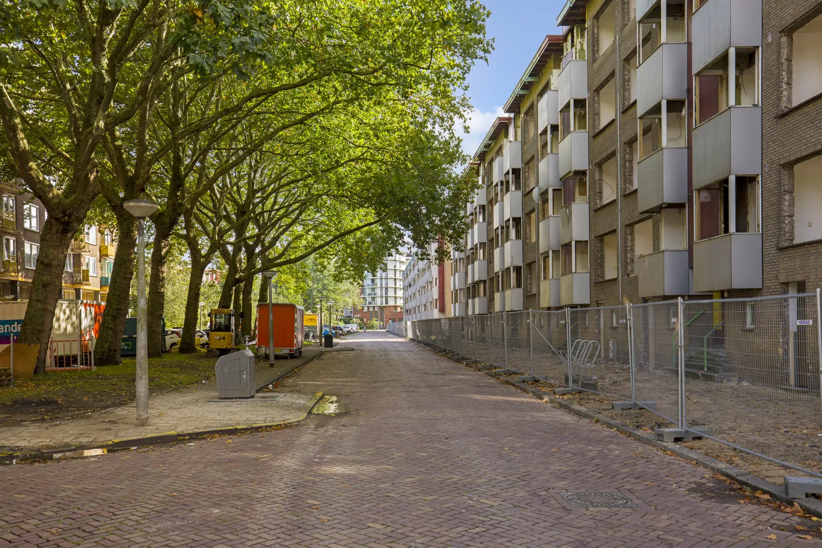 Straat met hoge bomen, rechts een flat die is afgezet met bouwhekken