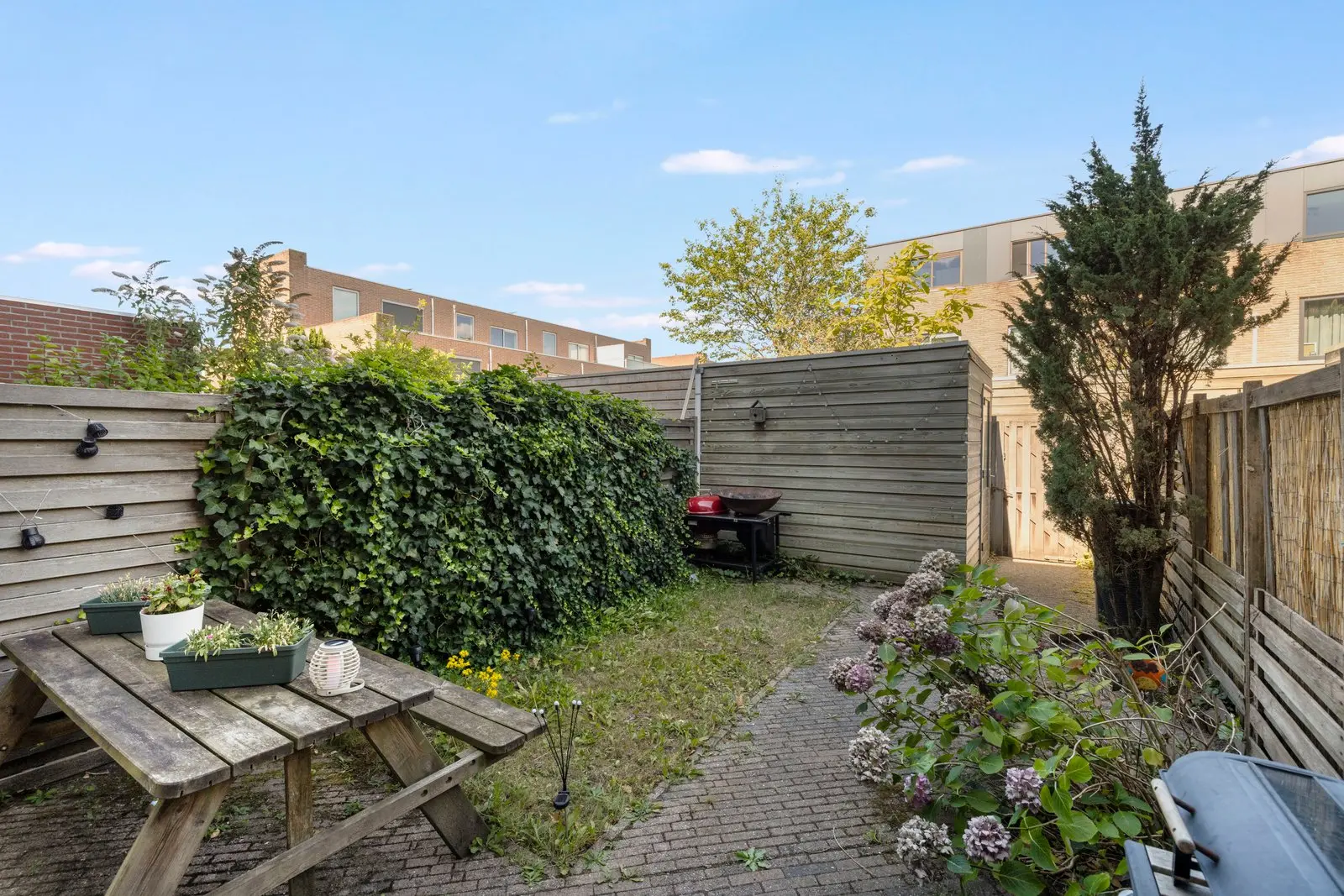 Achtertuin met hortensia's en een houten schutting