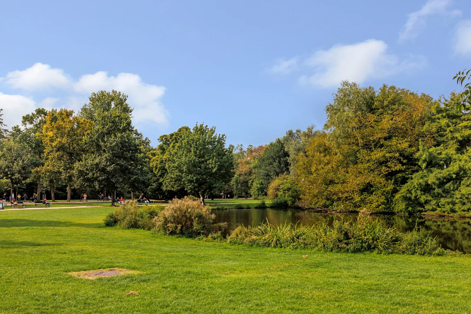 Riet en struiken langs de vijveroever, aan het wandelpad staan bankjes met mensen