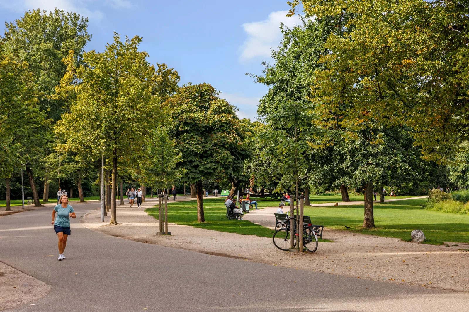 Een hardloopster op het asfaltpad, verderop bankjes, een geparkeerde fiets en hoge bomen